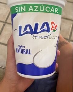 yogurt natural